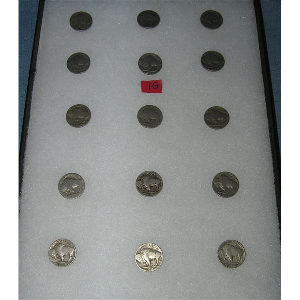 Group of early Buffalo nickles