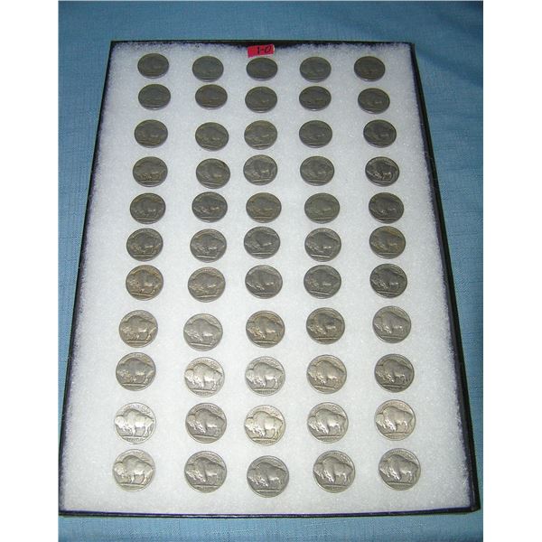 Large collection of early Buffalo nickles