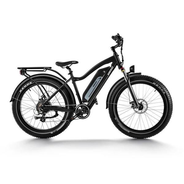 Himiway D3 Electric Bike