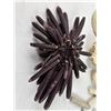 Image 2 : Ocean Corals and Decor