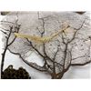 Image 2 : Wood Themed Home Decor