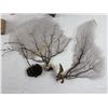 Image 3 : Wood Themed Home Decor