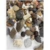 Image 3 : Collection of Rocks & Minerals