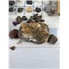 Image 3 : Rock & Minerał Colelction