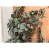 Image 4 : Faux Potted Vines