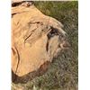 Image 2 : Live Edge Wood Slab