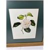 Image 2 : Pair of Floral Prints