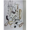 Image 1 : Costume Jewelery Necklaces