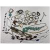 Image 1 : Costume Jewelery Lot