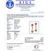 Image 5 : 14.27 ctw MultiColor Sapphire and 1.16 ctw Diamond Platinum Dangle Earrings