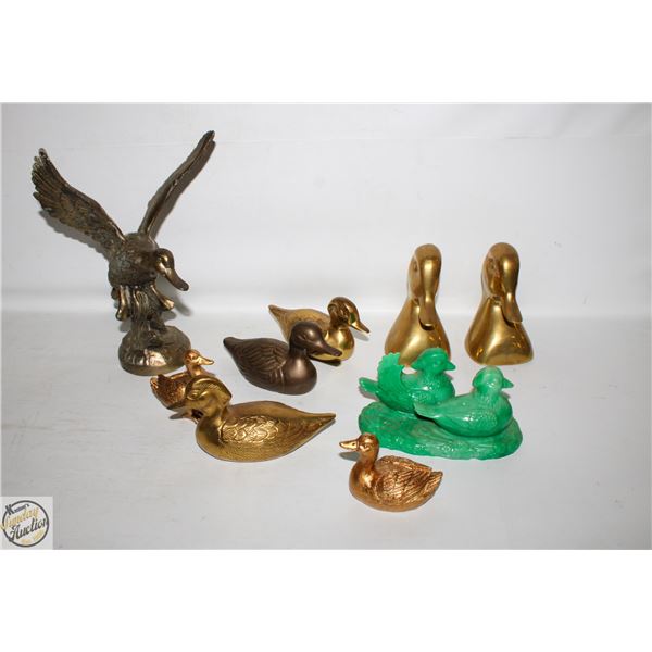 FLAT OF VARIOUS ORNAMENTAL BIRDS