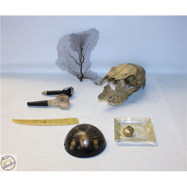 FLAT W/ SKULL, ENCASED SCORPION, ASHTRAY & MORE