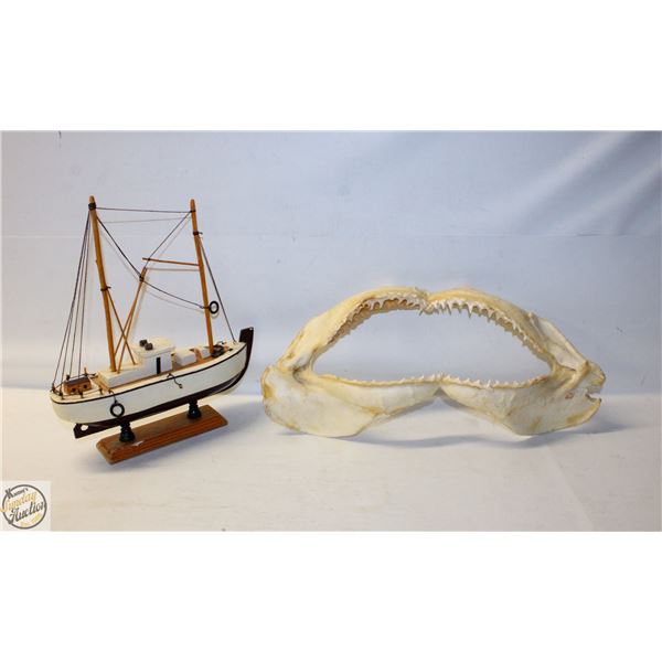BULL SHARK JAW (CARCHARHINUS LEUCAS) SOLD WITH