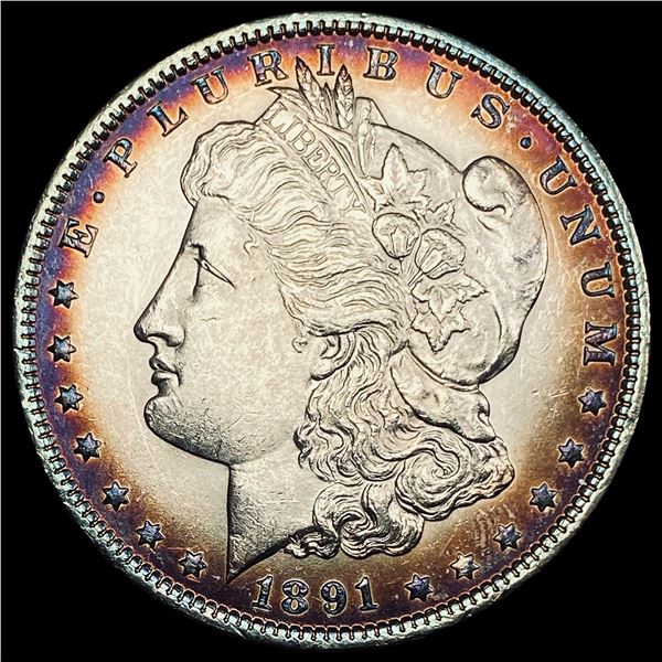 1891 Toned Silver Morgan Dollar UNCIRCULATED