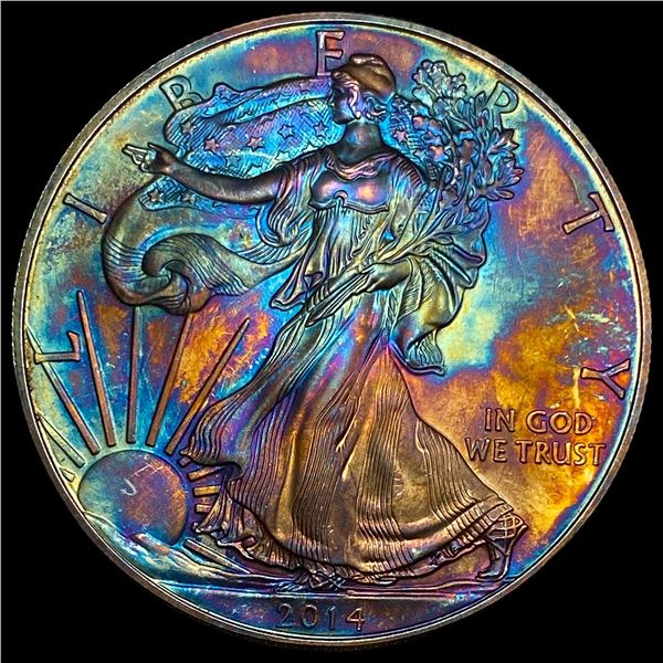 2014 Toned 1oz Silver American Eagle HIGH GRADE