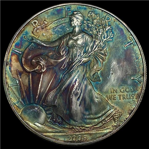 2009 Toned 1oz Silver American Eagle SUPERB GEM BU