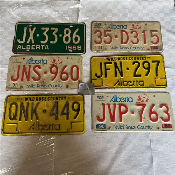 LOT 50 - VINTAGE LICENSE PLATES