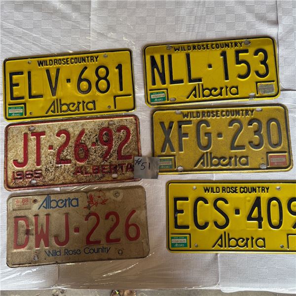 LOT 51 - VINTAGE LICENSE PLATES