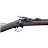 Image 3 : SPRINGFIELD MODEL 1884 CADET SINGLE SHOT TRAPDOOR