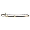 Image 1 : SWORD OF CAPT. JAMES M. CARVER, 2ND SC COLORED