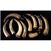 Image 1 : GROUP OF 10 VINTAGE POWDER HORNS.