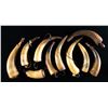 Image 2 : GROUP OF 10 VINTAGE POWDER HORNS.