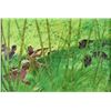 Image 2 : COLLECTION OF 4 WALTER BAUMHOFER HUNTING & OUTDOOR