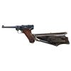 Image 8 : DWM MODEL 1906 AMERICAN LUGER WITH IDEAL SHOULDER
