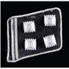 Image 1 : WWII GERMAN SS OBERSTURMBAHNFUHRER COLLAR TAB.