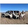 Image 1 : Ducks & Roosters Combo Hunt in North Dakota for Two Hunters