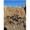 Image 3 : Ducks & Roosters Combo Hunt in North Dakota for Two Hunters