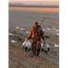 Image 6 : Ducks & Roosters Combo Hunt in North Dakota for Two Hunters