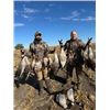 Image 7 : Ducks & Roosters Combo Hunt in North Dakota for Two Hunters