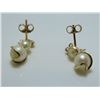 Image 1 : 10-14 Kt Yellow Gold Pearl Drop Stud Earrings - Appraised