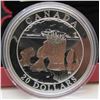 Image 1 : 2004 Canada $20 Fine Silver Coin - The Hopewell Rocks By RCM
