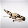 Image 1 : Swarovski Crystal Figurine, Baby Crocodile