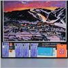 Image 2 : Authentic 2002 Winter Olympics Framed Poster w/ Tickets, Credentials & Pin
