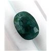 Image 2 : 9.91 ct Certified Zambia Emerald gemstone ($14,369 Appraisal)