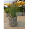 Image 3 : Group of 4 concrete planters
