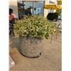 Image 1 : Group of 4 concrete planters