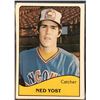 Image 1 : 1979 TCMA MiLB TEAM SET VANCOUVER CANADIANS - NED YOST