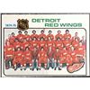 1975-76 O-PEE-CHEE DETROIT RED WINGS