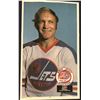 Image 2 : 1973-74 O-PEE-CHEE WHA POSTER SET