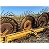 Image 10 : DIKA 7 WHEEL ROOT RAKE