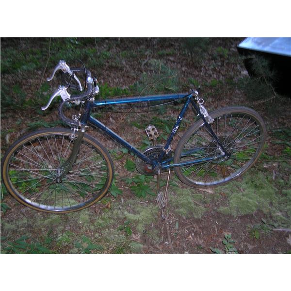 Vintage Schwinn 10 speed circa 1960s