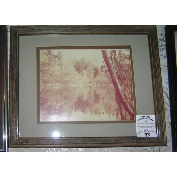 Matted and framed photo of a stream and wood scene