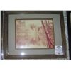 Image 1 : Matted and framed photo of a stream and wood scene