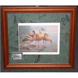 Signed and Numbered Framed Print