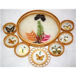 Coaster Set w/ Real Butterfly Wings and Ferns
