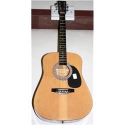 Esteban Acoustic Guitar and Case